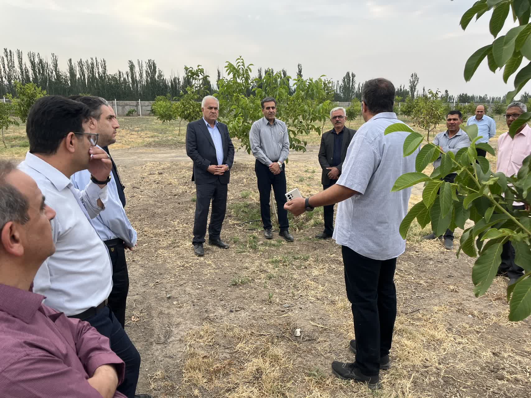 تحقق سیاستهای کشاورزی پایدار و افزایش بهرهوری در شهرستان خوی