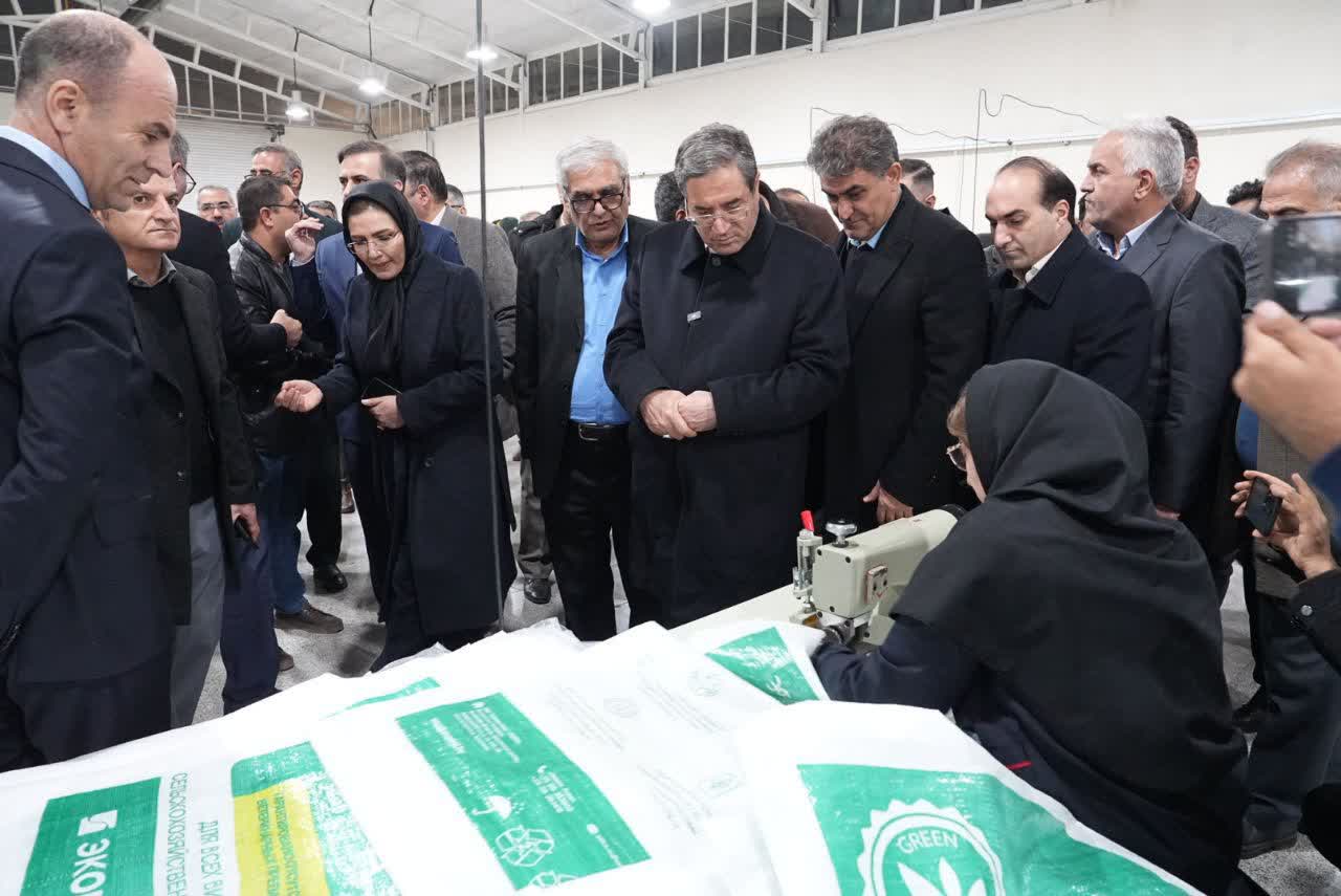 آلبوم تصویری