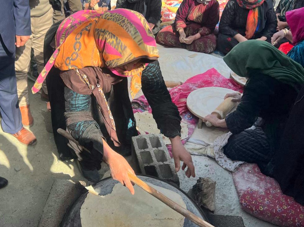 بازدید رئیس بنیاد مسکن انقلاب اسلامی کشور از مناطق زلزله زده بخش قطور