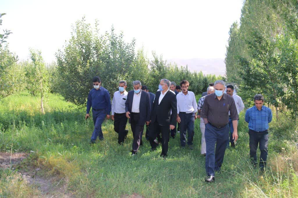 بررسی مسائل و مشکلات حوزه کشاورزی بخش صفائیه با حضور فرماندار ویژه شهرستان خوی