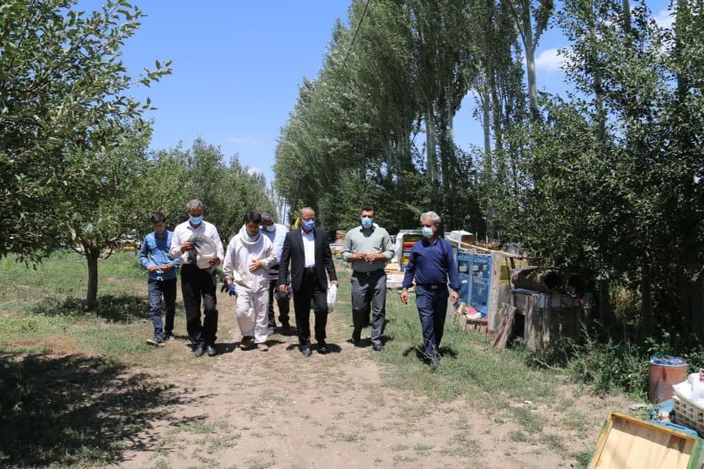 بررسی مسائل و مشکلات حوزه کشاورزی بخش صفائیه با حضور فرماندار ویژه شهرستان خوی