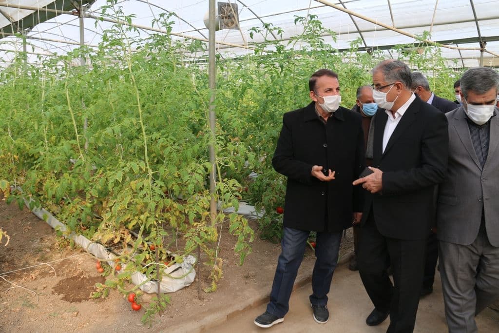 بازدید فرماندار ویژه شهرستان خوی از سایت گلخانه ای
