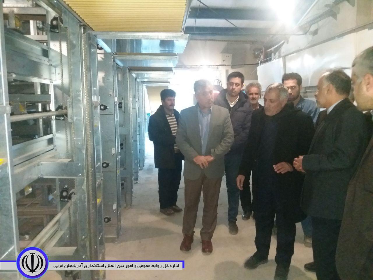 در چهارمین روز از دهه مبارک فجر: افتتاح بزرگترین واحد مرغداری تخمگذار تمام اتوماتیک استان آذربایجان غربی با حضور فرماندار شهرستان خوی